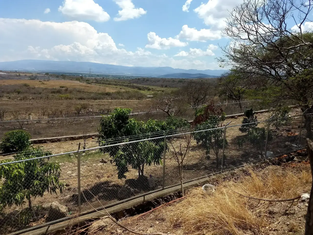Malla ciclónica galvanizada calibre 11 con postes tubulares en terreno agropecuario, Jalisco