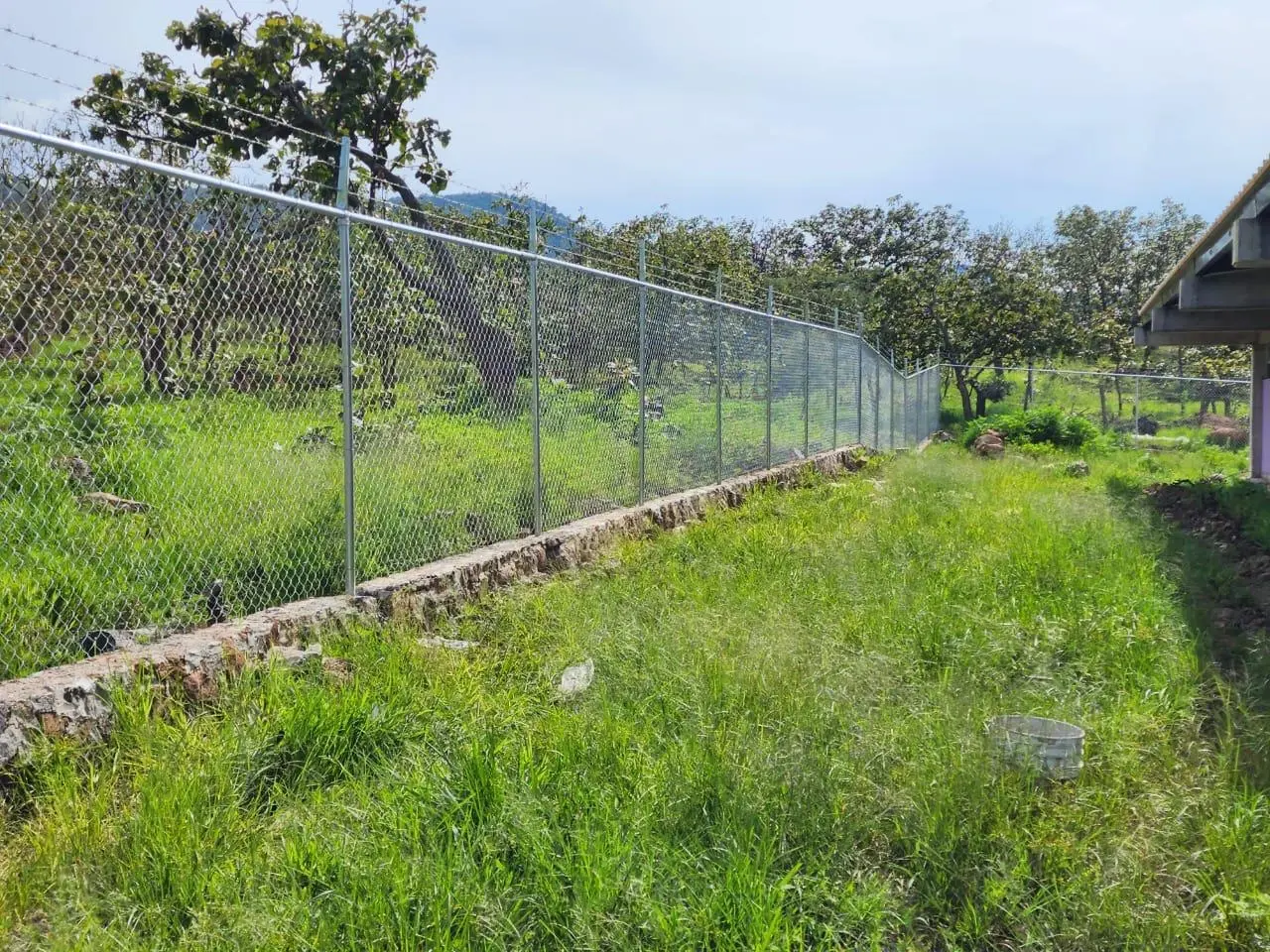 Malla ciclónica galvanizada con postes de tubo redondo en rancho y huerto, Área Metropolitana Guadalajara