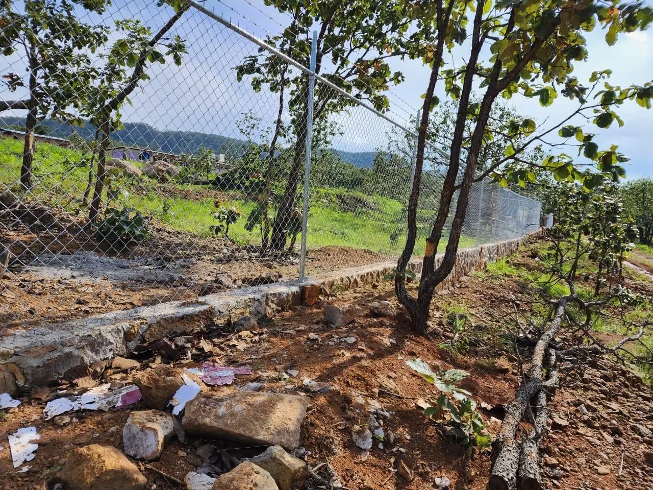 Malla borreguera de alambre con barba de acero galvanizado en parcela rural, Jalisco
